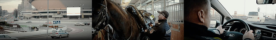 3 zdjęcia kolorowe: zdjęcie nr 1 - katowicki Spodek, zdjęcie nr 2 - policjant z koniem służbowym, zdjęcie nr 3 - policjant w radiowozie