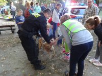 Uczestnicy festynu „I maluchy i starszaki to bezpieczne przedszkolaki” wspólnie z zabrzańskimi policjantami