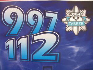 Zniszczyli szyld sklepu pistoletem gazowym