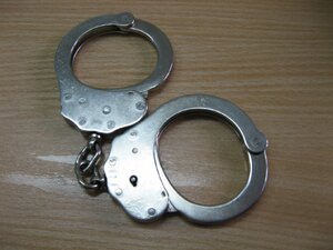 Zabezpieczali mecz Górnika Zabrze