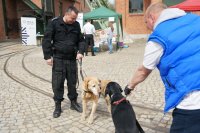 Zabrzańscy policjanci podczas festynu „Maciej Psitula Czworonogi”