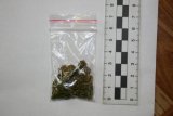 Zabezpieczona przez zabrzańskich policjantów marihuana