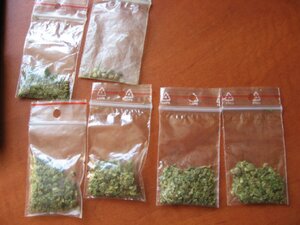 Zatrzymany za posiadanie marihuany