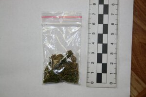 zabezpieczona przez policjantów marihuana