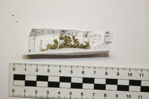 Zabezpieczone przez policjantów narkotyki