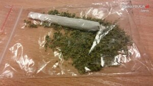 Zabezpieczona przez policjantów marihuana