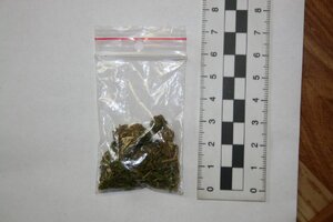 zabezpieczona przez policjantów marihuana