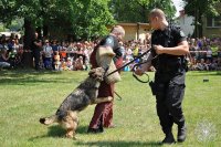 &quot;Dzień Otwarty&quot; w Szkole Policji w Katowicach