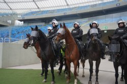 Policja Konna z Chorzowa