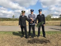 I Zastępca Komendanta Miejskiego Policji w Zabrzu nadkom. Dariusz Klimczak wspólnie z Komendantem Straży Pożarnej bryg. Kamilem Kwoskiem i Zastępcą Komendanta Straży Miejskiej w Zabrzu Arkadiuszem Półtorakiem wspólnie zasadzili dąb.