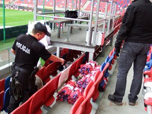 Zabrzańscy policjanci podczas zabezpieczenia i przeszukania stadionu