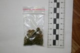 zabezpieczona marihuana