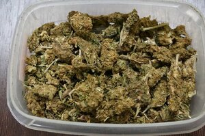 zabezpieczona marihuana