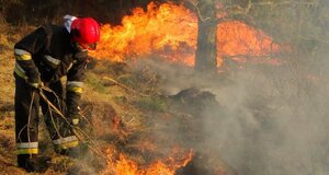 Strażak gaszący pożar traw