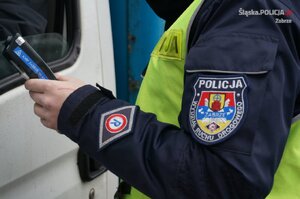 Zdjęcie kolorowe:  policjant podczas czynności.