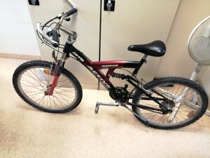 Zdjęcie kolorowe: zabezpieczony rower