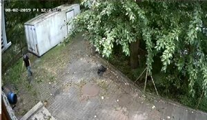 Zdjęcie kolorowe: wizerunek sprawcy