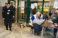 zdjęcie kolorowe: policjanci zabrzańskiej komendy podczas ćwiczeń EGIDA 2019