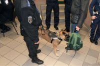 zdjęcie kolorowe: policjanci zabrzańskiej komendy podczas ćwiczeń EGIDA 2019