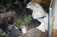Zdjęcie kolorowe: wnętrze spalonego mieszkania, w którym prowadzono  plantacje marihuany.