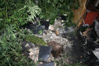 Zdjęcie kolorowe: wnętrze spalonego mieszkania, w którym prowadzono  plantacje marihuany.