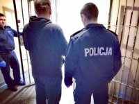zdjęcie kolorowe: policjanci z osobą zatrzymaną