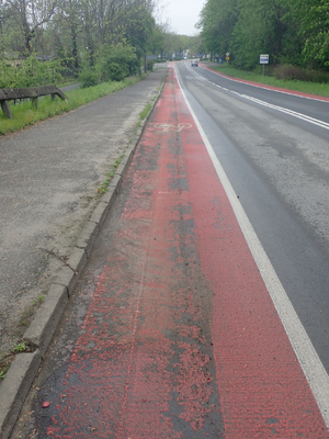 Zdjęcie kolorowe: droga rowerowa w zabrzu