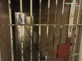 zdjęcie kolorowe: krata w pomieszczeniu dla osób zatrzymanych KMP Zabrze