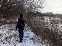 Policjant w terenie porośniętym zaroślami, przy zimowej pogodzie, w tracie poszukiwań osoby zaginionej.