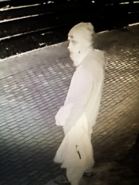 Wizerunek podejrzewanego o dokonanie kradzieży rozbójniczej.