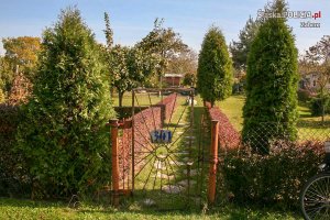 Widok na ogródek działkowy