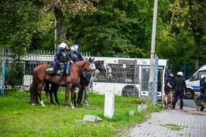 Policjanci i policyjne pojazdy podczas  zabezpieczenia mieczu piłki nożnej Górnika Zabrze i Piasta Gliwice