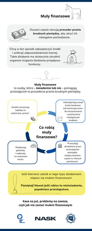 Infografika