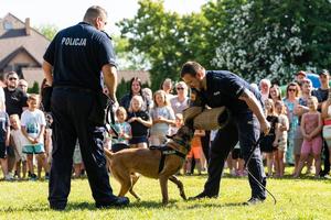 na zdjęciu policjanci podczas festynu