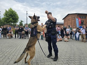 na zdjęciu osoby i policjanci podczas dnia bezpieczeństwa