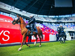na zdjęciu policjanci podczas ćwiczeń na stadionie