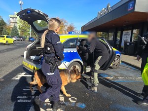 na zdjęciu pies i policjantka przed radiowozem