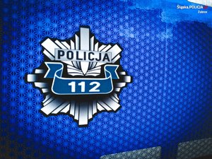 logo policji na  drzwiach radiowozu