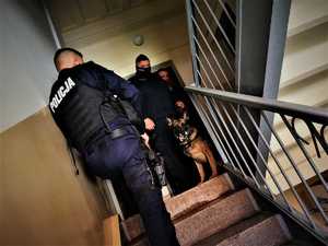 na zdjęciach psy policyjne