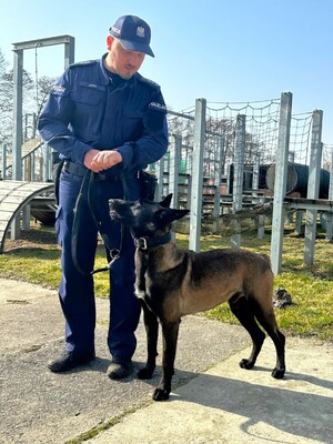 Na zdjęciu policjant z psem służbowym