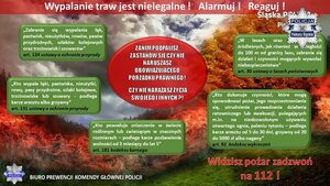 infografika dotycząca wypalania trw