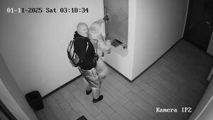 wizerunek sprawców kradzieży włamaniem