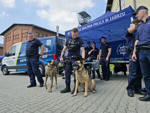 policjanci na  festynie